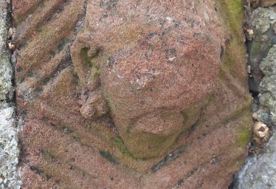 Temple Jarlath