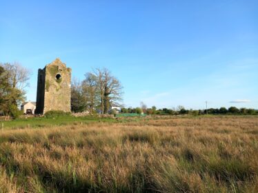 Castle within a field, rushes in the foreground, blue sky in background