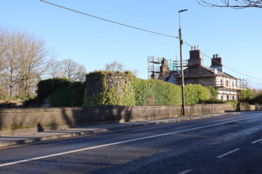 Ivy clad wall adjacent to the road