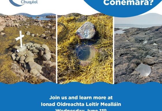 Galway Holy Wells Project 2025