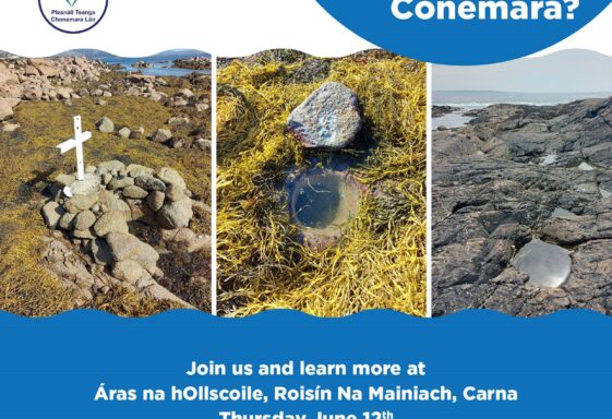 Galway Holy Wells Project 2025