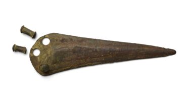 Beak shaped weapon with two rivets removed showing perforations at wider end