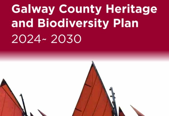 Galway County Heritage &amp; Biodiversity Plan 2024 - 2030