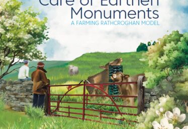 Care of Earthen Monuments