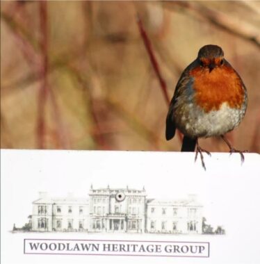 Robin Red breast with puffed belly perched on Woodlawn Heritage Group Sign .