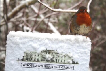 Robin red breast atop Woodlawn Heritage Group Sign , covered in snow