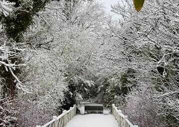 Woodlawn Heritage Trail