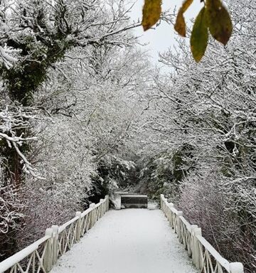 The White Bridge