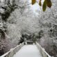 The White Bridge
