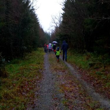 People Walking in Woods
