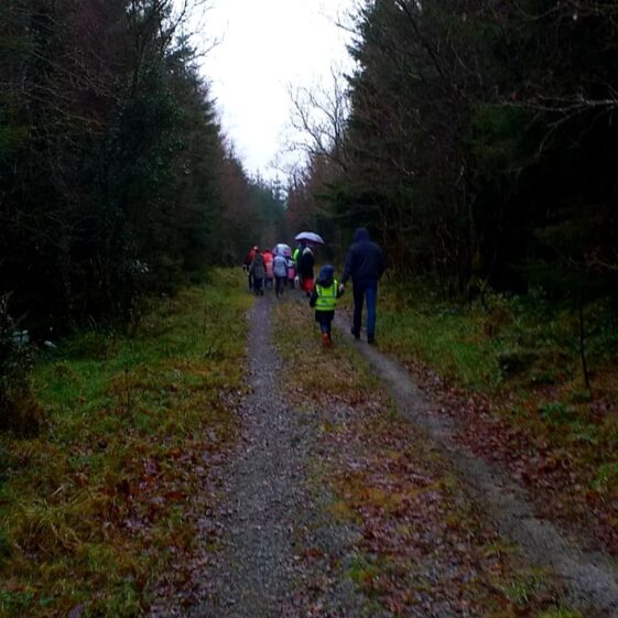 People Walking in Woods | Orla Doherty