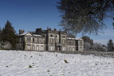 Woodlawn in Snow with tree and blue sky