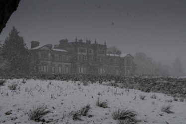 Snowing at Woodlawn House