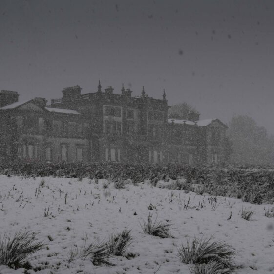 Snowing at Woodlawn House | Frank Nevin 2018