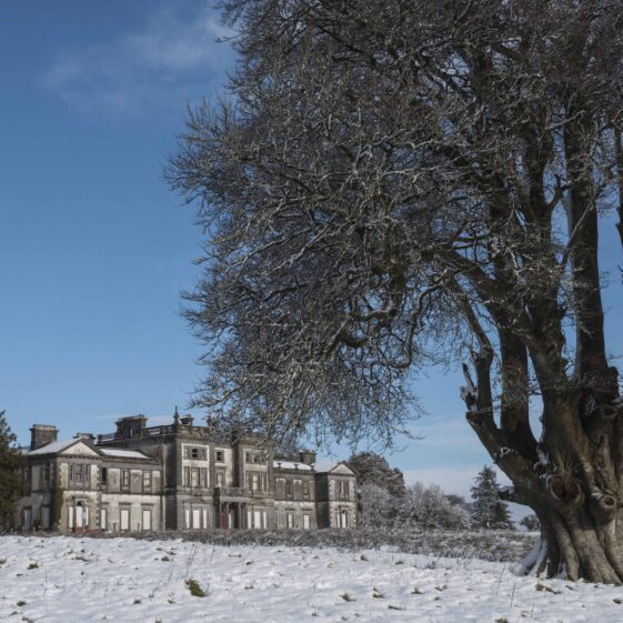 Snow Scene showing Woodlawn House, large tree and clear blue sky | Frank Nevin 2018