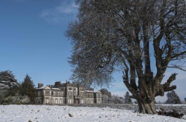 Woodlawn House in Snow with tree framing picture