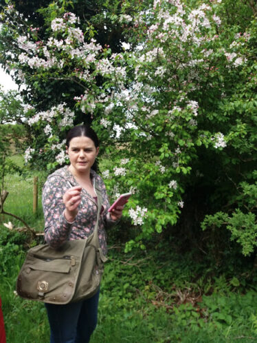 Crab apple tree in bloom, Catherine Seale explaining pollination