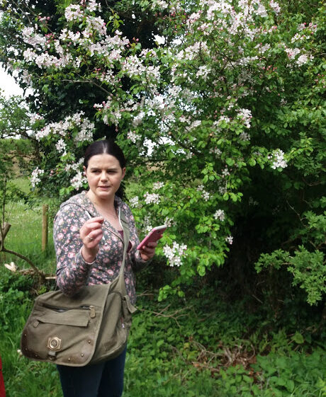 Crab apple tree in bloom, Catherine Seale explaining pollination | B. Doherty 2018