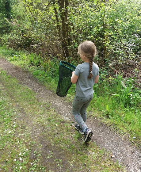 Off to catch butterflies | B. Doherty 2018