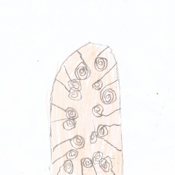 Swirls on a astone | Nathan Gill, 2nd Class