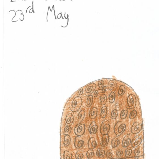 Turoe stone drawn and coloured brown showing La Tene Art | Eve Connolly, 2nd Class