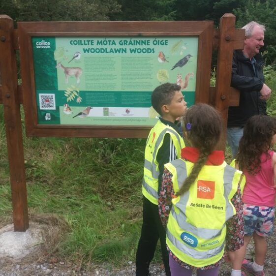 Children in Woodlawn Woods admirong the signage | B. Doherty 2018
