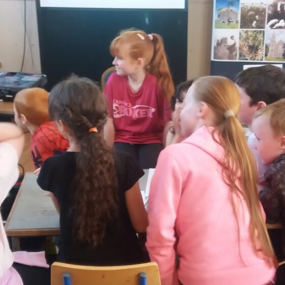 Quiz Time | B. Doherty 2018