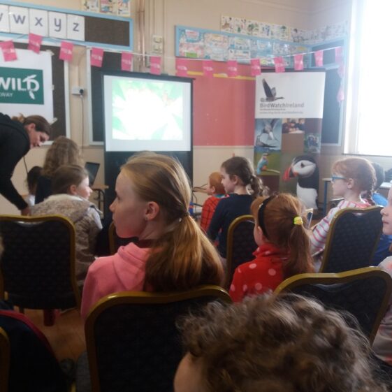 children listen attentively | B. Doherty 2018