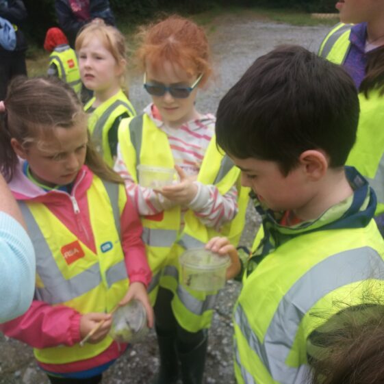 Mini Beasts Hunt | B. Doherty 2018