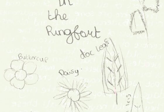 Nature in a Ringfort