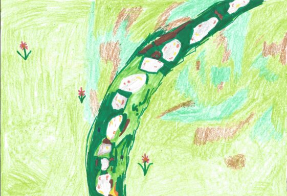 Ballyharra Ringfort