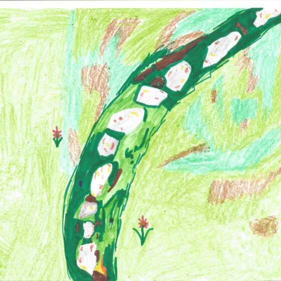 Ringfort-by-Amy Ringfort | Amy Connolly