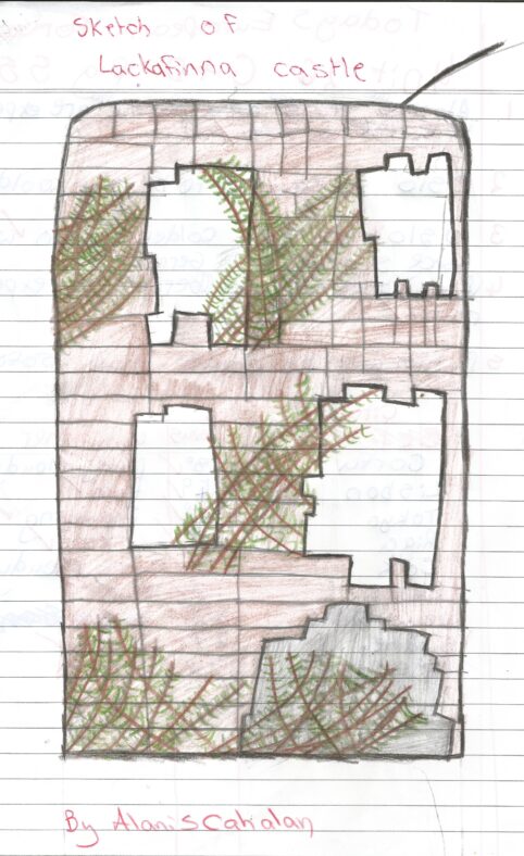 Lackafinna Castle | Alanis Cahalan