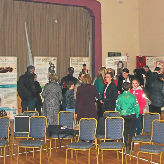 img_27-1-copies Our Irish Women exhibit in Ballmacward Hall | Alf Seale 2019