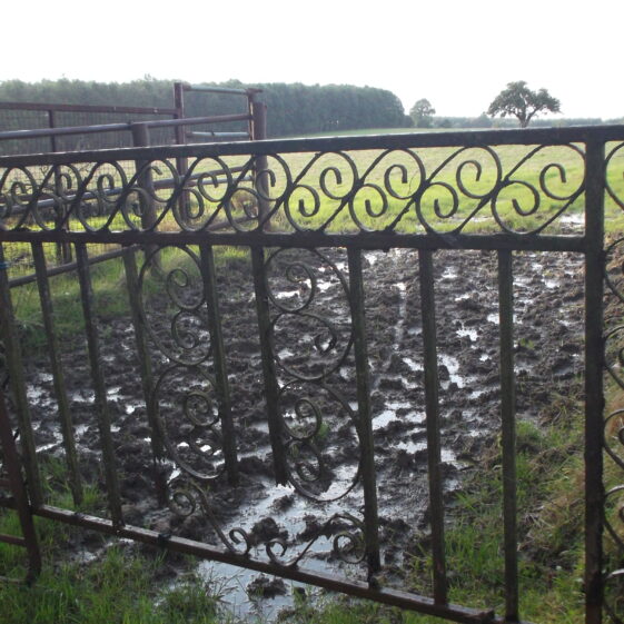 Gate Closed Cast Iron gate, closed | B. Doherty 2019