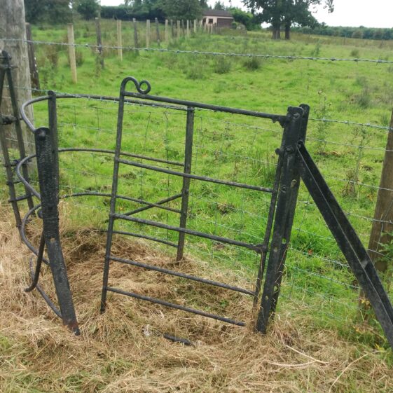 black wrought iron gate | B. Doherty