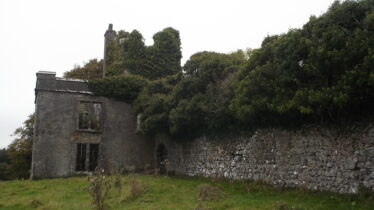 wall and tower