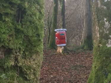 Red box in Woods