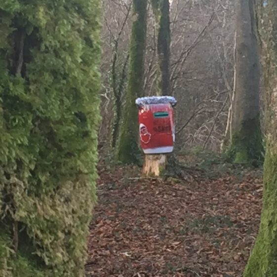 Red box in Woods | M. Kenny