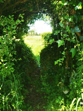 Stile to pathway, covered in green archway of folliage