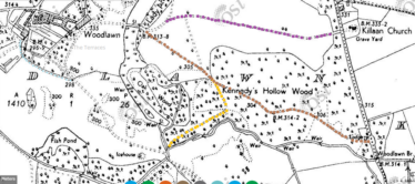 Dots on a map in various colours showing pathways through the woods into the estate of Woodlawn.