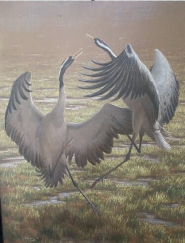 Two large birds dancing in mating ritual