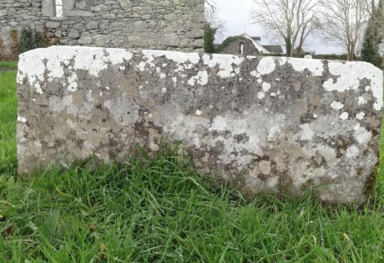 Archaeology Seminar/Hedge School