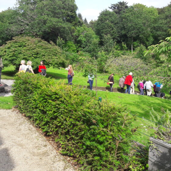 TURAS RUAIDHRÍ, Food and Heritage bus tour