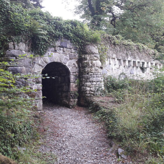 TURAS RUAIDHRÍ, Food and Heritage bus tour