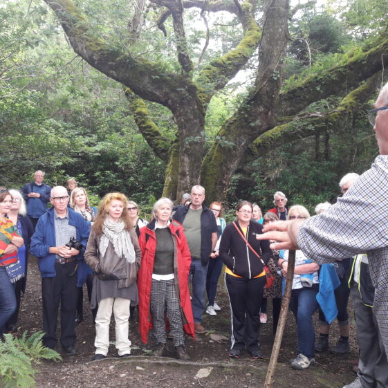 TURAS RUAIDHRÍ, Food and Heritage bus tour