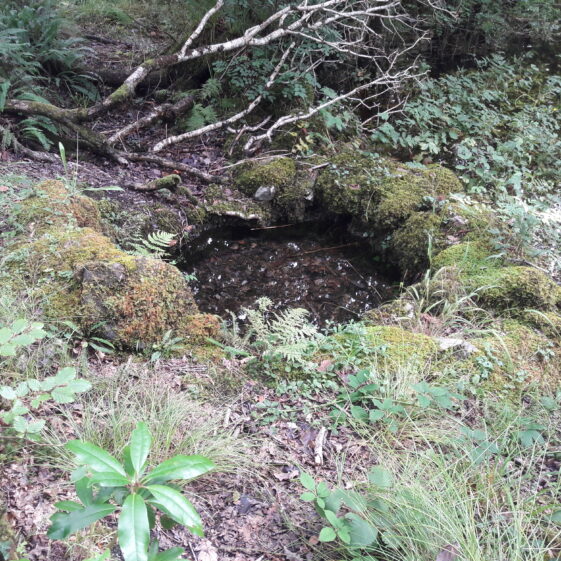 TURAS RUAIDHRÍ, Food and Heritage bus tour