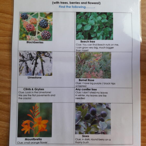 20180823_103424 Go Wild Nature Camp 2018