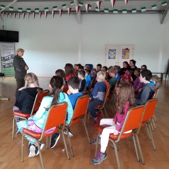20180823_1148531 Year of O'Flaherty 'Go Wild' Nature Camp