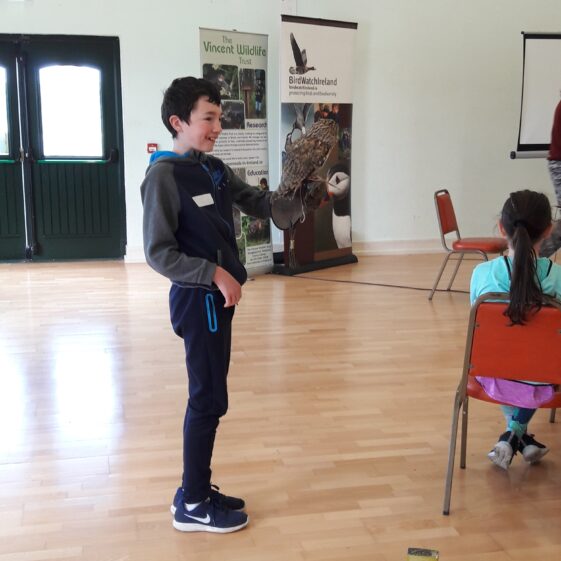 20180823_1153341 Year of O'Flaherty 'Go Wild' Nature Camp
